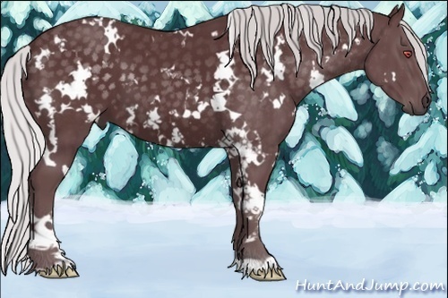 Horse Color:White Spotted Chocolate Silver Black Chinchilla 