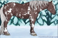 Horse Color:White Spotted Chocolate Silver Black Chinchilla 