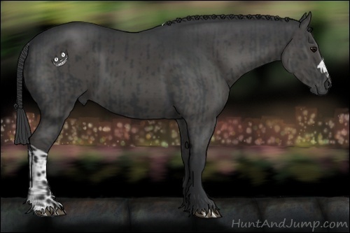 Horse Color:Black  and Black 