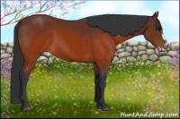 Horse Color:Brown Splash Frame Rabicano 