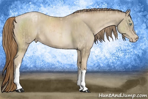 Horse Color:Smoky Creme and Smoky Black Pearl