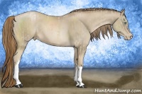 Horse Color:Smoky Creme and Smoky Black Pearl