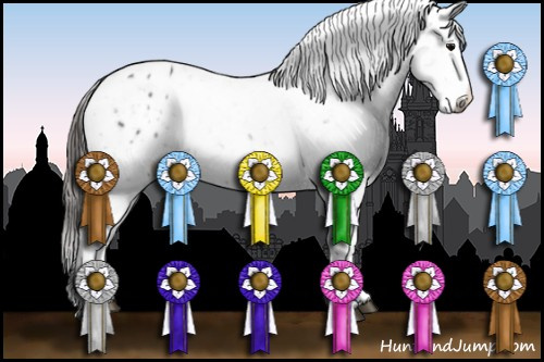 Horse Color:Black Splash Appaloosa 