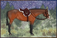Horse Color:Brown Splash Rabicano 