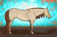 Horse Color:Red Dun Roan 