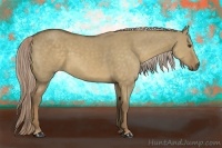 Horse Color:Chocolate Palomino Dun 