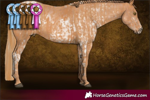 Horse Color:White Spotted Liver Chestnut Pearl  Brindle
