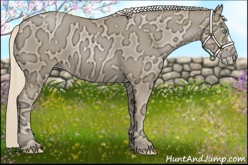 Horse Color:Chocolate Palomino Ice Pearl 