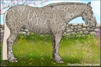 Horse Color:Chocolate Palomino Ice Pearl 