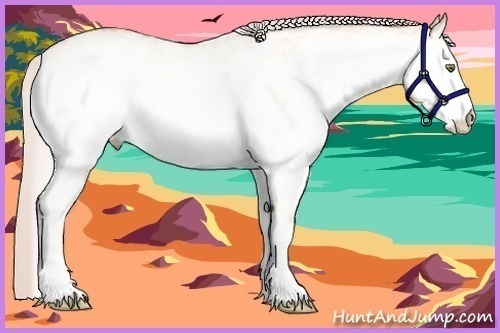Horse Color:White Spotted Silver Amber Champagne Dun 