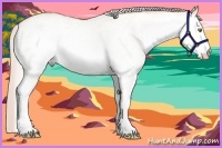 Horse Color:White Spotted Silver Amber Champagne Dun