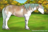 Horse Color:Painted Silver Bay Splash