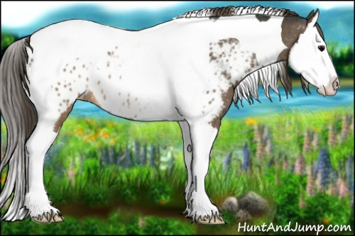 Horse Color:Brown Splash Tobiano Near Leopard Rabicano 
