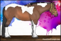 Horse Color:Bay Tobiano