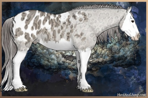 Horse Color:Brown Ice Dun Splash Appaloosa 