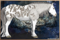 Horse Color:Brown Ice Dun Splash Appaloosa 