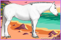 Horse Color:Gray Bay Sabino Snowcap 