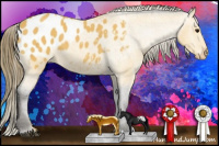 Horse Color:Buckskin Blanket