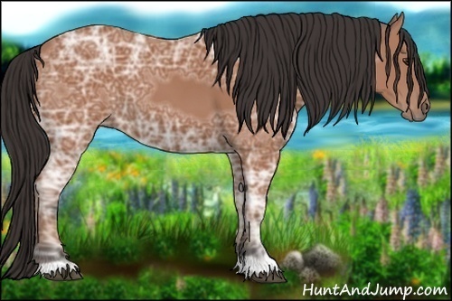 Horse Color:Bay Ice 