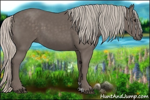 Horse Color:Silver Black 