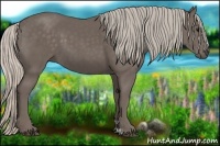 Horse Color:Silver Black