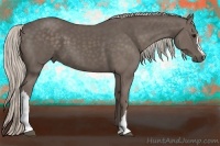 Horse Color:Silver Black 