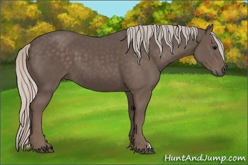 Horse Color:Silver Black 