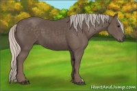 Horse Color:Silver Black 