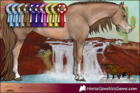 Horse Color:Liver Chestnut Pearl  and Liver Chestnut Pearl 