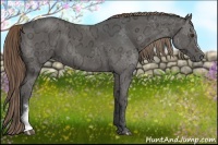 Horse Color:Liver Chestnut Ice 