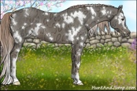 Horse Color:White Spotted Chocolate Palomino Ice 
