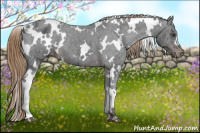 Horse Color:White Spotted Liver Chestnut Ice Varnish