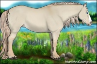 Horse Color:Palomino Dun Splash 