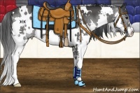 Horse Color:White Spotted Black Splash