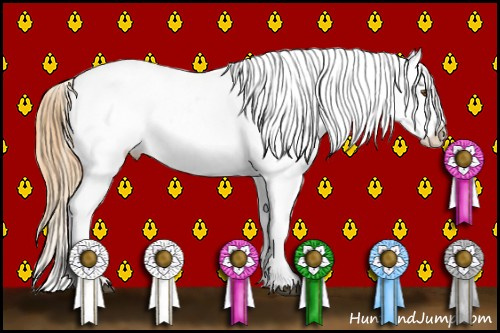 Horse Color:Buckskin Dun Splash Snowcap 