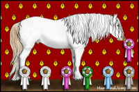 Horse Color:Buckskin Dun Splash Snowcap 