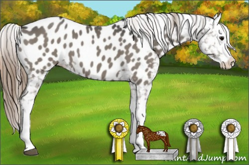 Horse Color:Smoky Grullo Splash Appaloosa 