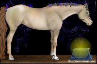 Horse Color:Liver Chestnut Pearl Sabino