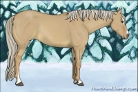 Horse Color:Palomino Dun Sabino Rabicano