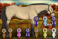 Horse Color:Buckskin Dun Splash 