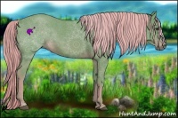 Horse Color:Watercolor Chestnut 