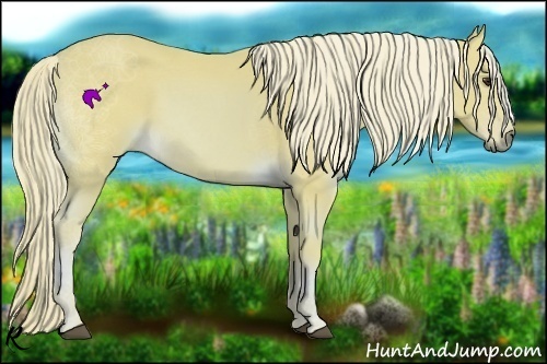 Horse Color:Watercolor Palomino 