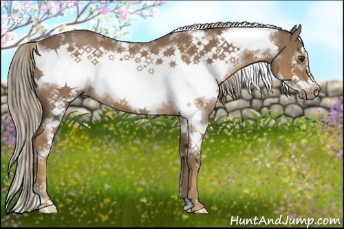 Horse Color:White Spotted Chocolate Palomino Frame Rabicano