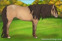 Horse Color:Sable Champagne 