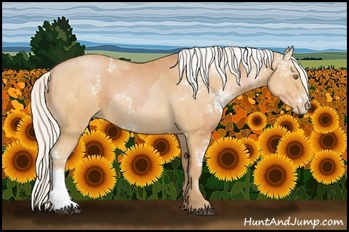 Horse Color:White Spotted Silver Bay Pearl Sabino and White Spotted Silver Bay Pearl Sabino