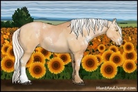 Horse Color:White Spotted Silver Bay Pearl Sabino and White Spotted Silver Bay Pearl Sabino