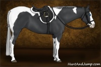 Horse Color:Black Sabino Splash Tobiano 