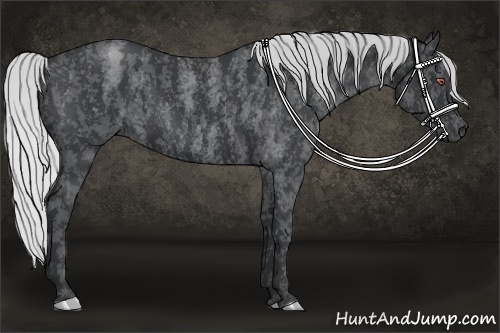 Horse Color:Silver Blue Chinchilla Roan  Brindle