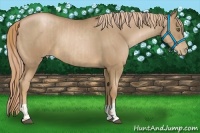 Horse Color:Liver Chestnut Pearl  and Liver Chestnut Pearl 