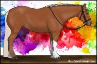 Horse Color:Silver Bay Tobiano Rabicano 